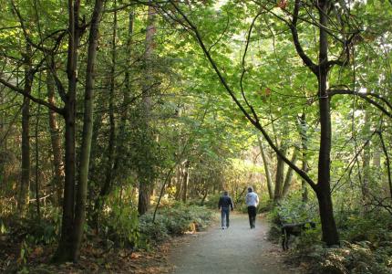 Two people walk on a forested trail while sun peeks through the trees.