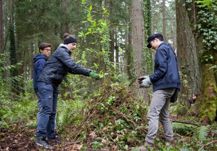 3 volunteers standing in front of a large pile of removed ivy