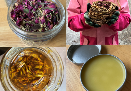 Composite of 4 photos: top left, dried roses, top right hand woven basket, bottom left buds in oil, bottom right salve in tin