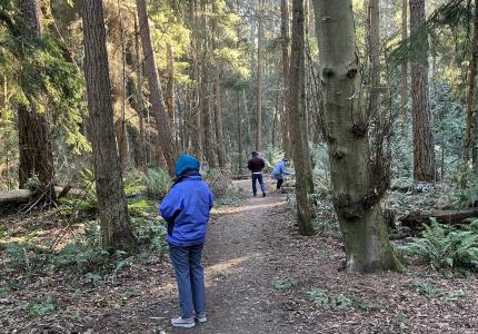 People walking on a path through a forest