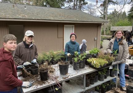 Volunteers standing in front of a table with small plants in pots on it. 