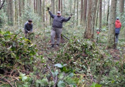 Volunteer posing excitedly in the forest in front of big piles of removed ivy. 