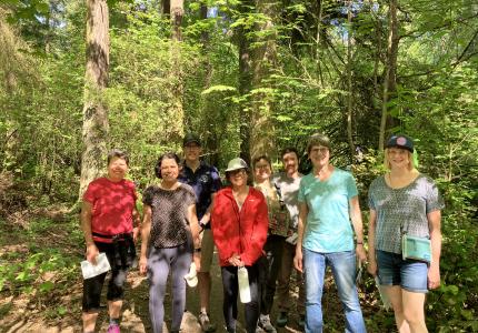 A group of people standing in a sunny forest. 