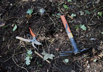 A pair of hand pruners and a hand tiller sitting on the ground. 