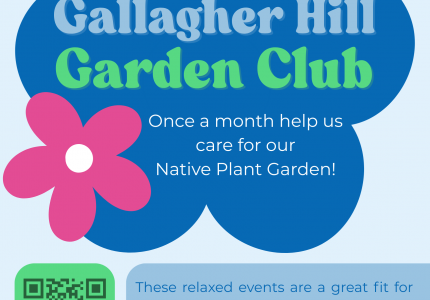Colorful poster describing the Gallagher Hill Garden Club, with blue and pink flowers.