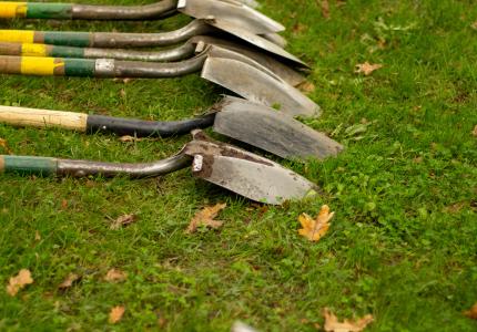 A group of shovel layed on in a line on a grass patch