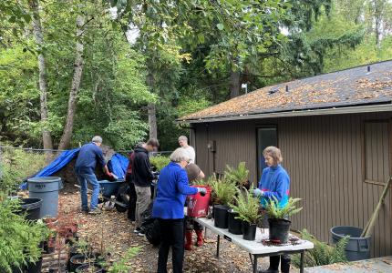 A group of volunteers standing around a table, working on potted plants. 