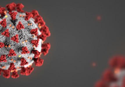 Coronavirus COVID-19