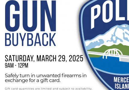 Gun Buyback Program
