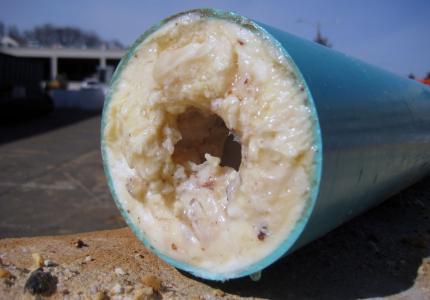 Grease Clog in Sewer Pipe