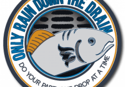 Only Rain Down the Drain