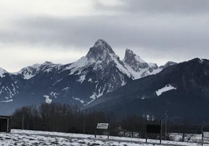 Visiting a field near Champellant in the foothills of the Alps near the Swiss border.