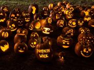 pumpkins