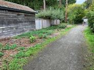 A trail with mulched plants on the side