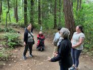 A group of people in the woods looking upwards