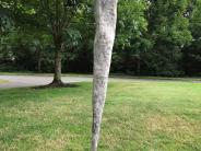 An elongated, triangle-like sculpture made of concrete and glass that stretches out from a round base