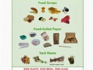 Compost Sorting Guides