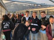 Photos from the most recent student exchange trip to Thonon les Bains, in February, 2019.