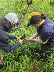 A person holding an insect on their hand, while another person holds a phone to take a close up photo. 