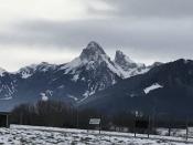 Visiting a field near Champellant in the foothills of the Alps near the Swiss border. Visiting a field near Champellant in the foothills of the Alps near the Swiss border.