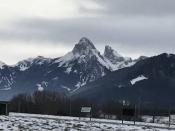 Visiting a field near Champellant in the foothills of the Alps near the Swiss border.