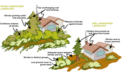 Wildfire Safety: well landscaped homes vs. poorly landscaped homes