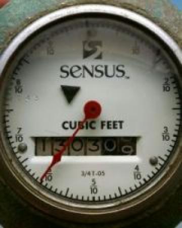 Typical MI Water Meter