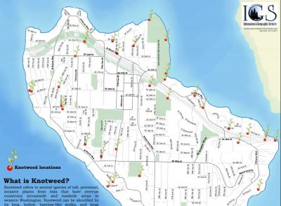 Invasive Knotweed Map