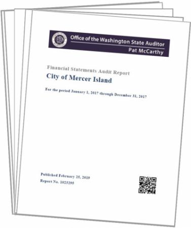 2017 Financial Statements Audit Report