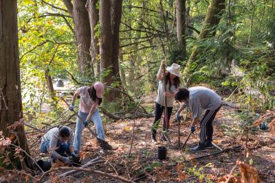 Group of people planting trees in the forest