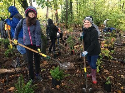 volunteers