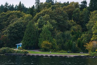 A grassy beach on a suburban island as seen from the water