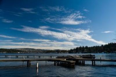 Luther Burbank Park View