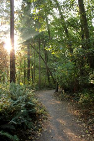 scenic pioneer park