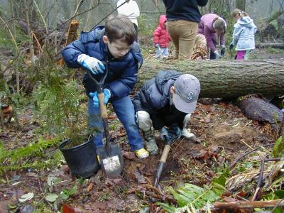 Restoration Volunteers