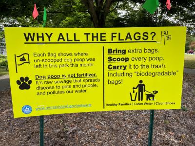 Why the Flags Pet Waste Campaign