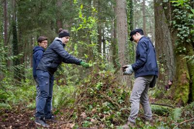 Three people standing in the woods and pulling up English ivy. 