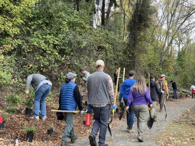Volunteers planting trees.
