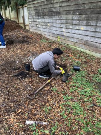Person kneeling on the ground pulling weeds