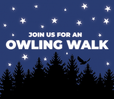 Computer graphic of stars and forest silhouette with text "Jon us for an Owling walk"