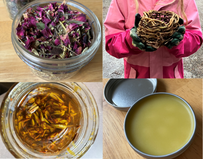 Composite of 4 photos: top left, dried roses, top right hand woven basket, bottom left buds in oil, bottom right salve in tin