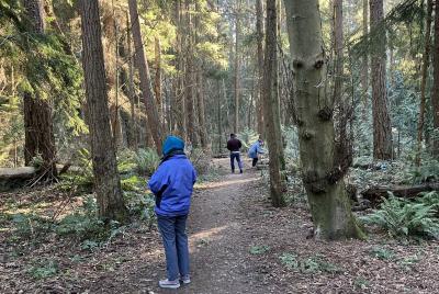People walking on a path through a forest