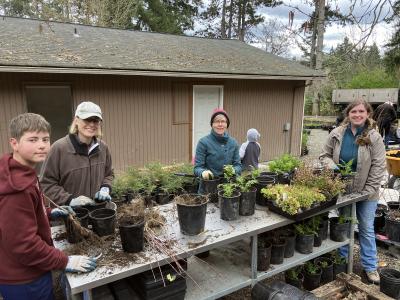 Volunteers standing in front of a table with small plants in pots on it. 