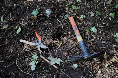 Hand pruners and a hand tiller placed on the forest floor. 