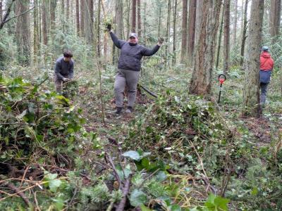 Volunteer posing excitedly in the forest in front of big piles of removed ivy. 