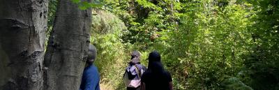 Three people standing in a sunlit forest.