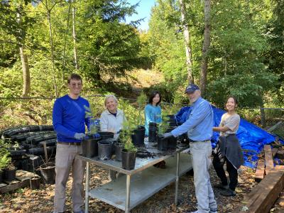 A group of volunteers standing over a table with young plants on it.