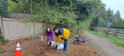 Two volunteers filling a bucket up with mulch.