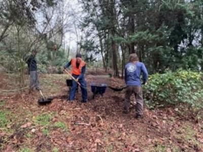 Three volunteers with shovels and wheelbarrows spreading mulch in a forest.
