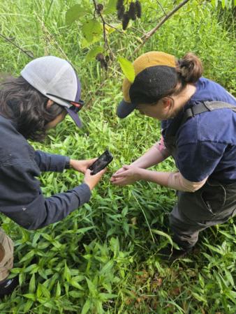 One person holding an insect in their hand, while another person holds a phone to take a close up photo. 